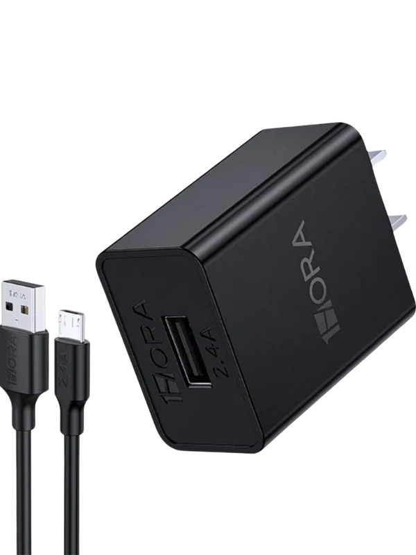 Cargador Micro USB 8V-10W - 1Hora 2En1